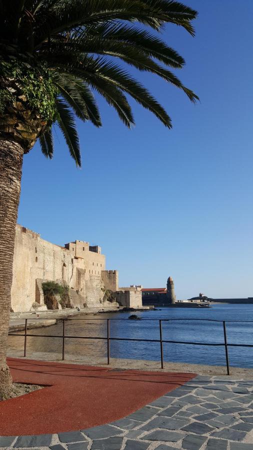 Apartment 4sap7 Avec Belle Terrasse Collioure